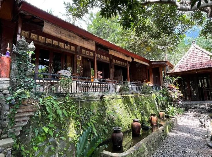 Bunut Tree Auberge de jeunesse Kubutambahan (Bali)